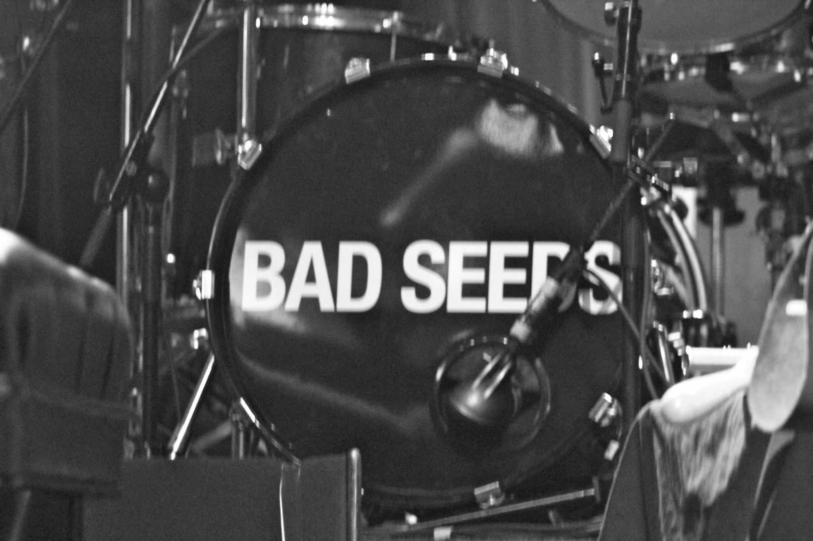 The Bad Seeds bliver bare bedre og bedre // Foto: Julio Enriquez 
