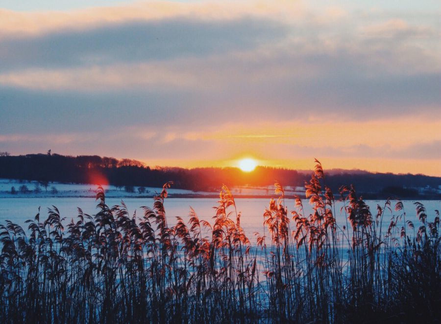 Solen går ned over Brabrand Søen // Foto: Lisa Larsen