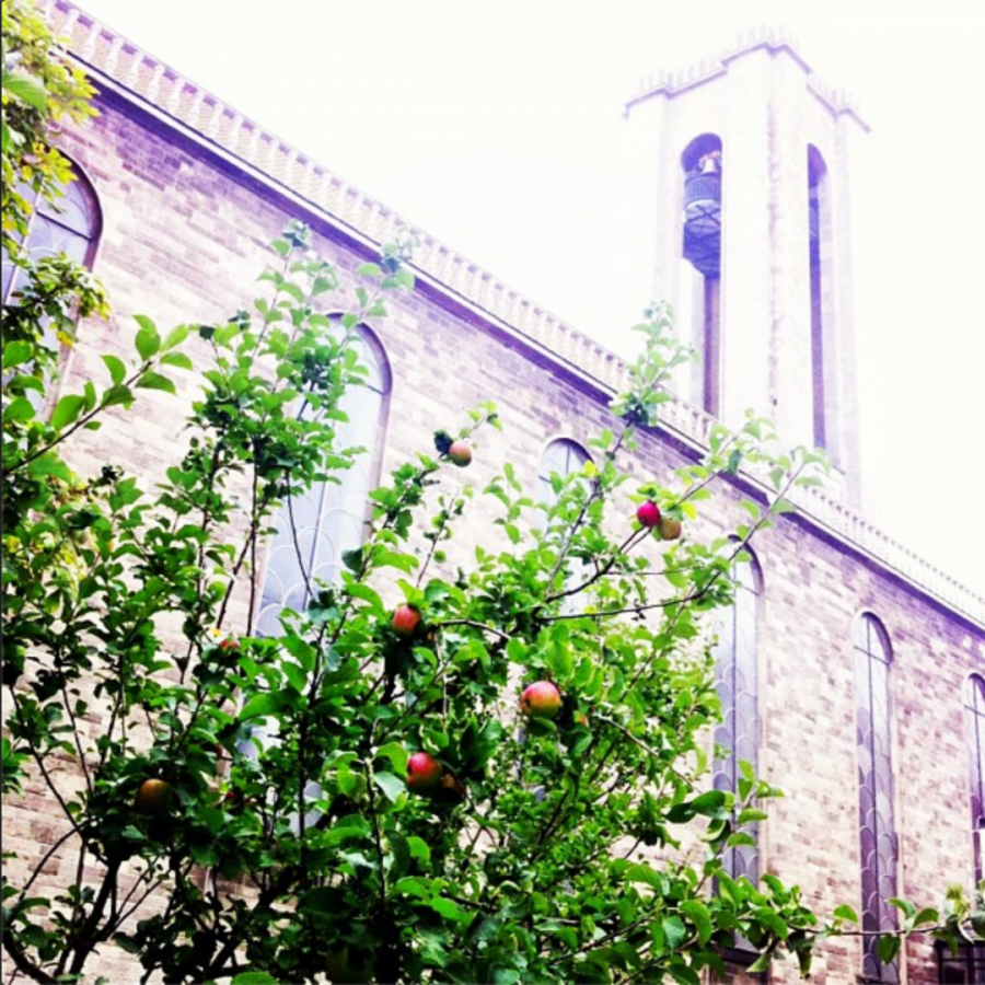 Dengang det var efterår og vi gik en tur igennem byen på æblejagt - "Æblerne ved Skt. Lukas Kirke er snart modne. Hvem tør tage den forbudte frugt?"
